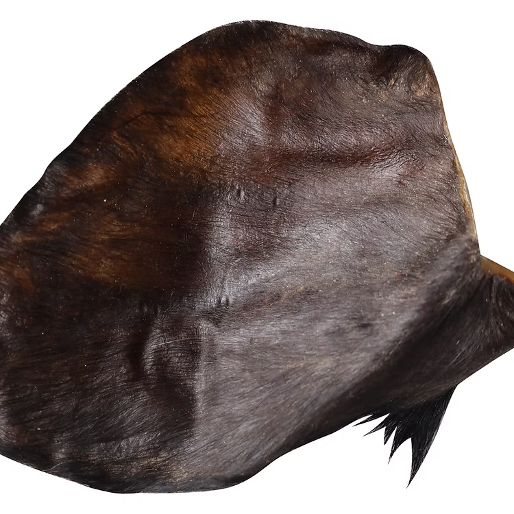 QT Dog Water Buffalo Ear with Hair