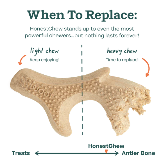 Woof's Honest Chew Antler