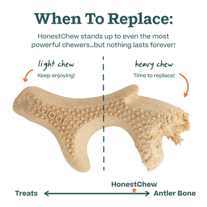 Woof's Honest Chew Antler