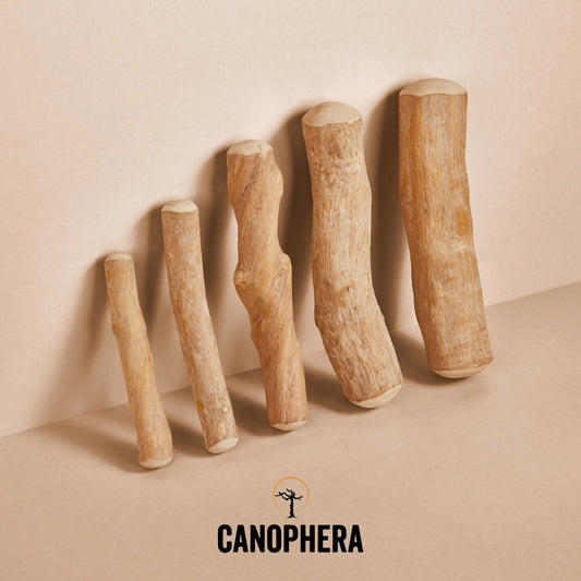 Canophera Coffee Wood Dog Chew Sticks XS, S, M, L, XL