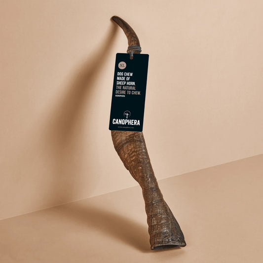 Canophera XL Sheep Horn