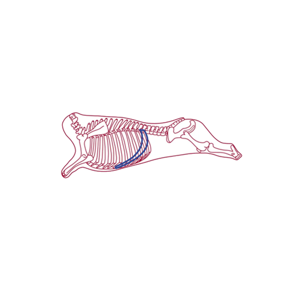 Home Range Beef Skirt Steak Bar