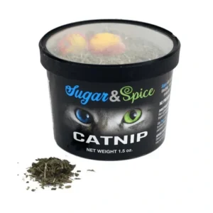 Catnip container with colorful toy inside.