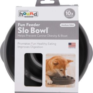 Dog eating from a slow feeder bowl designed to promote healthy eating.