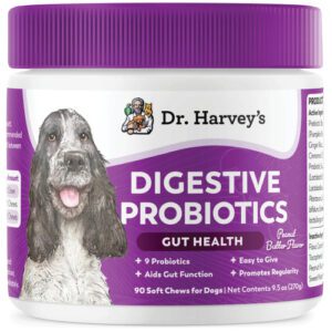 Dr. Harvey's Digestive Probiotics for dog gut health with purple lid.