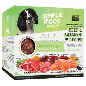 Packaging of Simple Food Project beef and salmon dog food recipe.