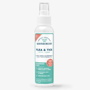 Spray bottle of natural flea and tick repellent for pets.