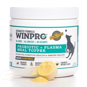 Container of Winpro Probiotic + Plasma Real Top Dog supplement with a scoop.
