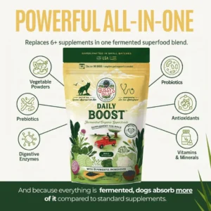 Gussy's Gut Daily Boost - 3oz